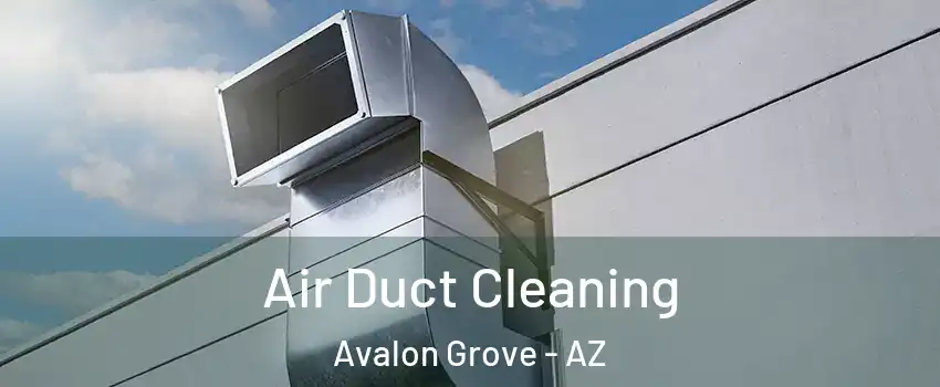 Air Duct Cleaning Avalon Grove - AZ