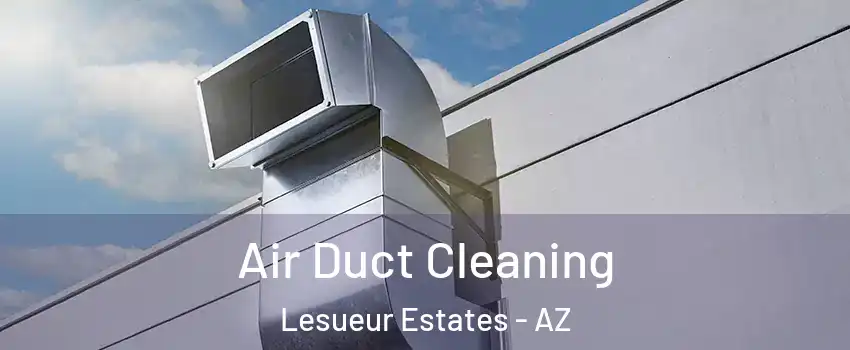 Air Duct Cleaning Lesueur Estates - AZ