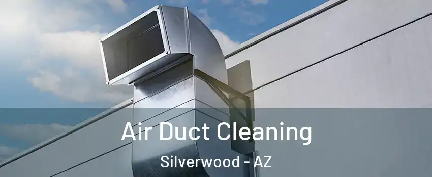 Air Duct Cleaning Silverwood - AZ