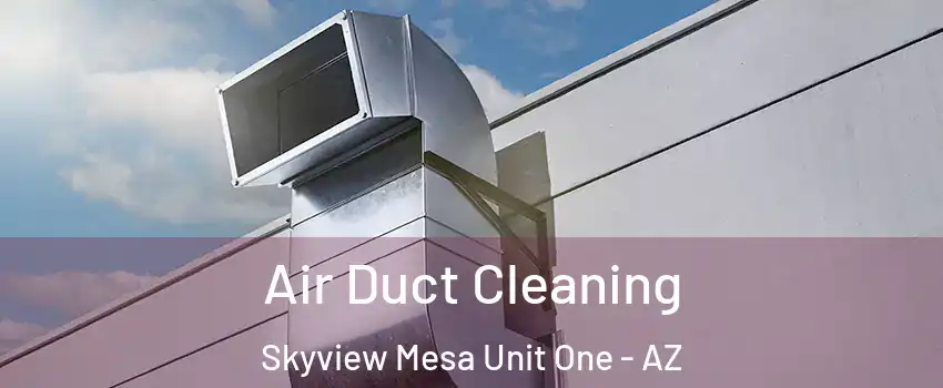Air Duct Cleaning Skyview Mesa Unit One - AZ