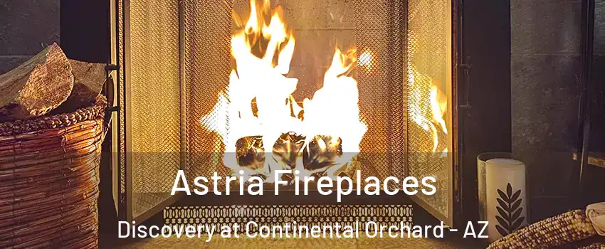 Astria Fireplaces Discovery at Continental Orchard - AZ