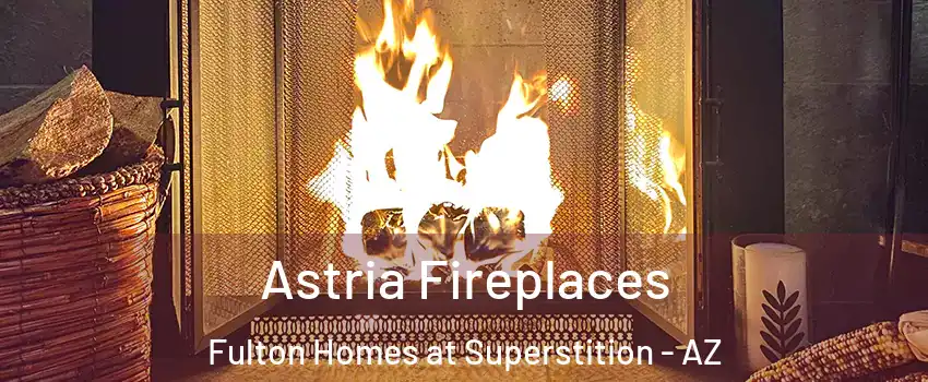 Astria Fireplaces Fulton Homes at Superstition - AZ