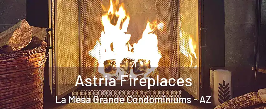 Astria Fireplaces La Mesa Grande Condominiums - AZ