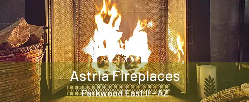 Astria Fireplaces Parkwood East II - AZ