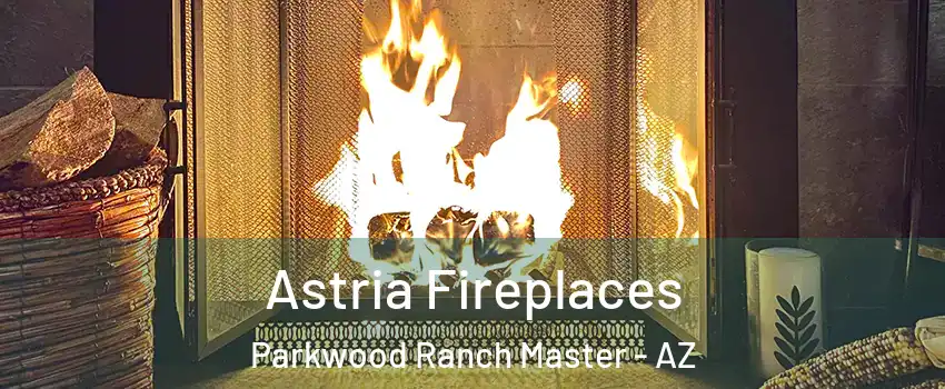 Astria Fireplaces Parkwood Ranch Master - AZ