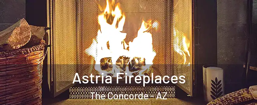 Astria Fireplaces The Concorde - AZ