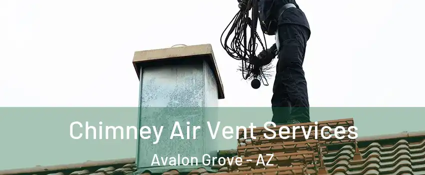 Chimney Air Vent Services Avalon Grove - AZ