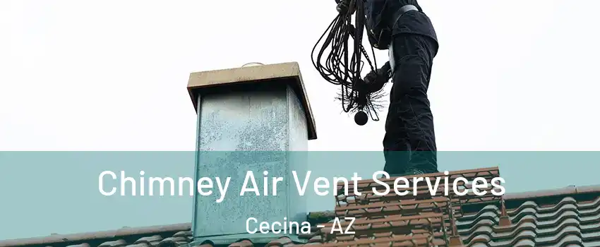 Chimney Air Vent Services Cecina - AZ
