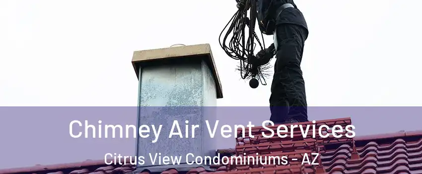 Chimney Air Vent Services Citrus View Condominiums - AZ