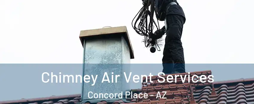 Chimney Air Vent Services Concord Place - AZ