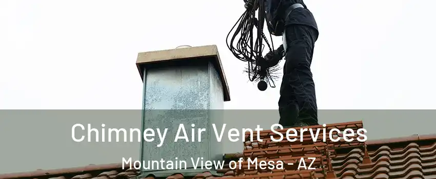 Chimney Air Vent Services Mountain View of Mesa - AZ