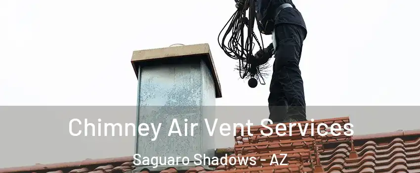 Chimney Air Vent Services Saguaro Shadows - AZ