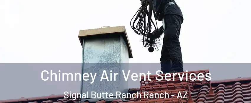 Chimney Air Vent Services Signal Butte Ranch Ranch - AZ