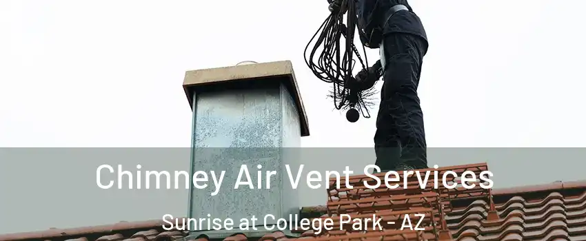 Chimney Air Vent Services Sunrise at College Park - AZ