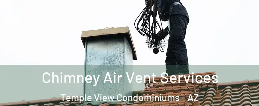 Chimney Air Vent Services Temple View Condominiums - AZ