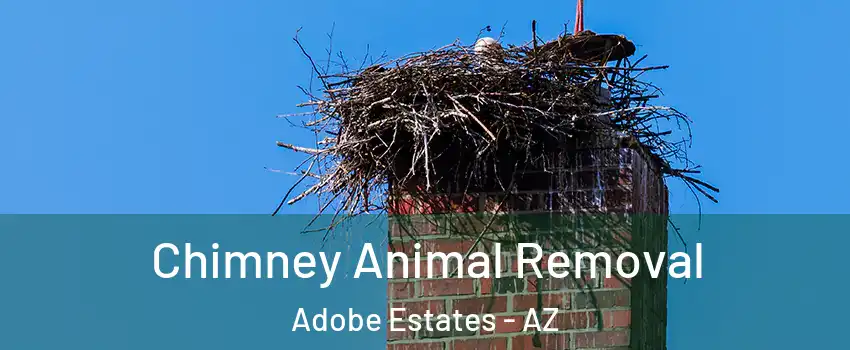 Chimney Animal Removal Adobe Estates - AZ
