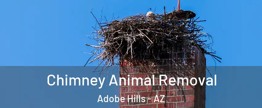 Chimney Animal Removal Adobe Hills - AZ
