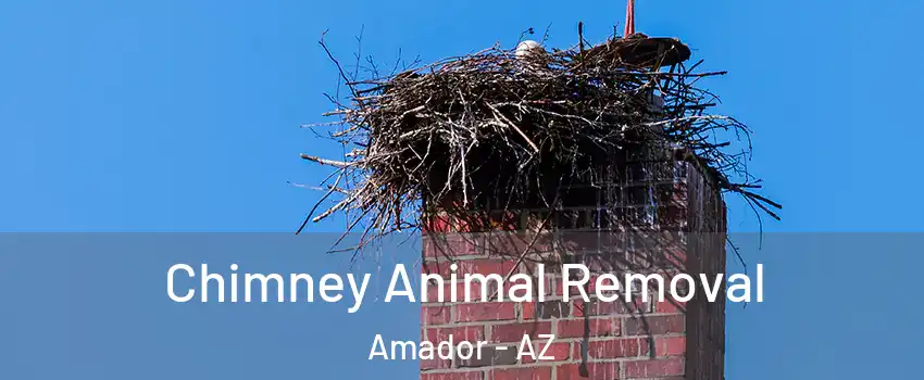 Chimney Animal Removal Amador - AZ