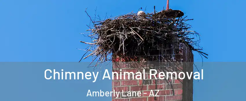 Chimney Animal Removal Amberly Lane - AZ