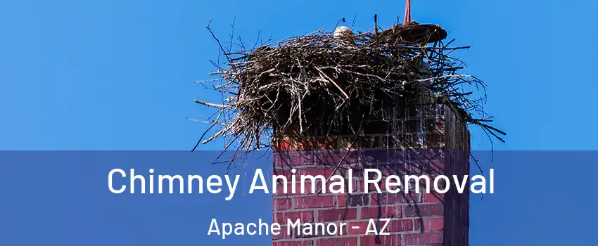 Chimney Animal Removal Apache Manor - AZ