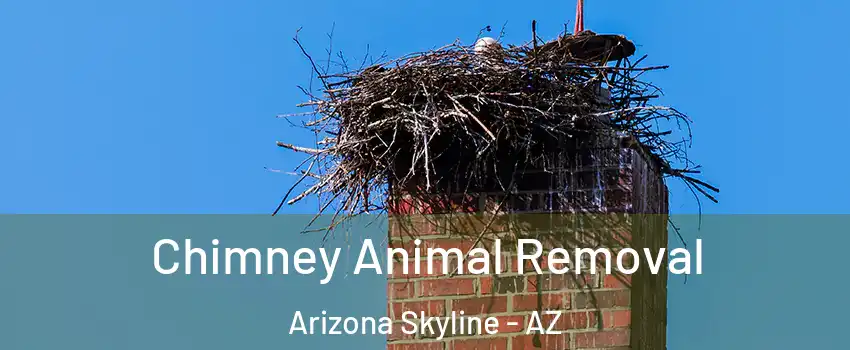 Chimney Animal Removal Arizona Skyline - AZ