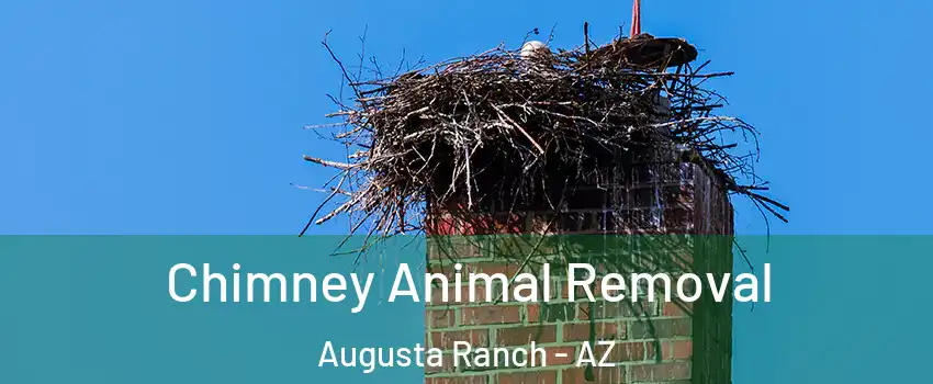 Chimney Animal Removal Augusta Ranch - AZ