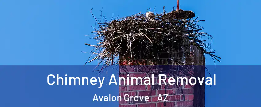 Chimney Animal Removal Avalon Grove - AZ