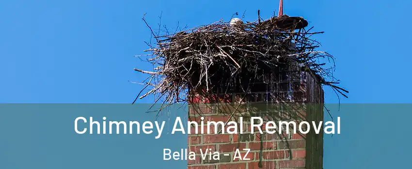 Chimney Animal Removal Bella Via - AZ