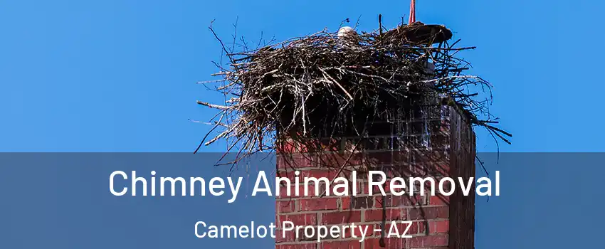 Chimney Animal Removal Camelot Property - AZ