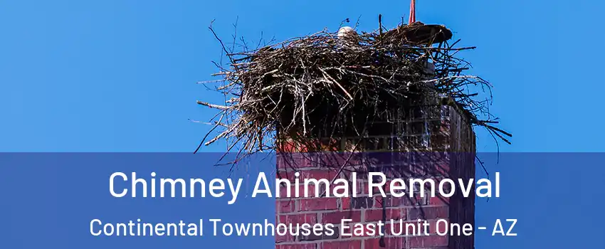 Chimney Animal Removal Continental Townhouses East Unit One - AZ