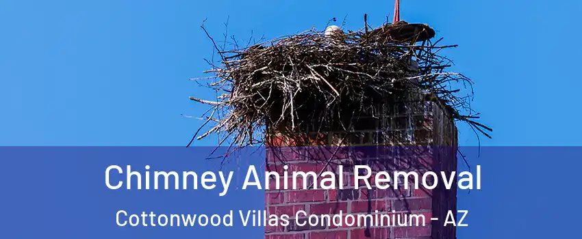 Chimney Animal Removal Cottonwood Villas Condominium - AZ