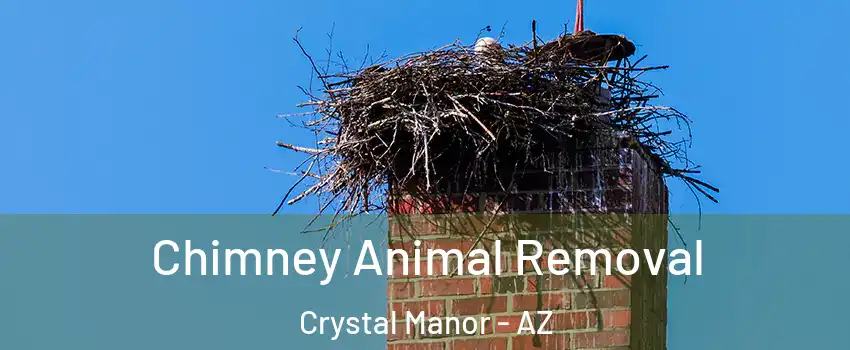 Chimney Animal Removal Crystal Manor - AZ
