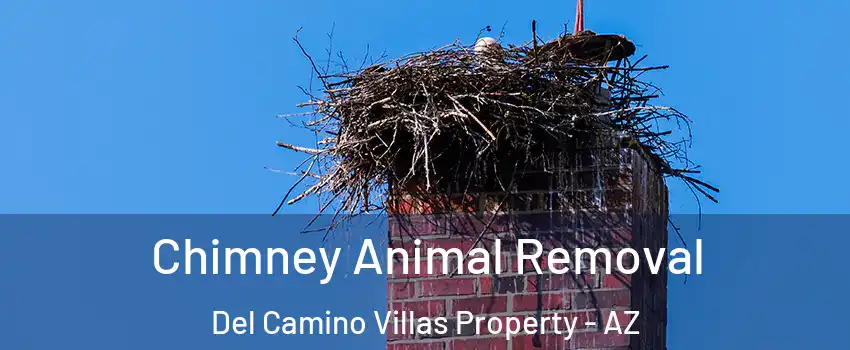 Chimney Animal Removal Del Camino Villas Property - AZ