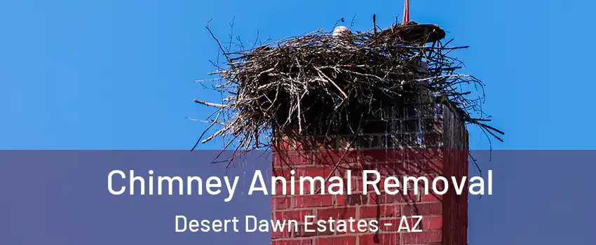 Chimney Animal Removal Desert Dawn Estates - AZ
