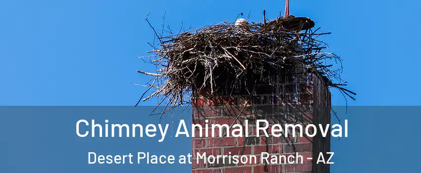 Chimney Animal Removal Desert Place at Morrison Ranch - AZ