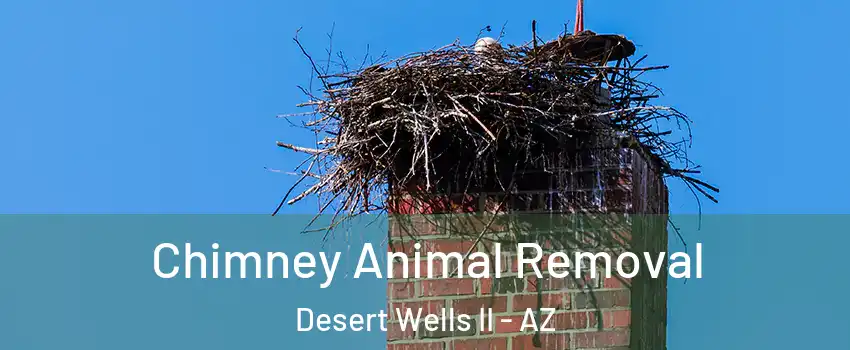 Chimney Animal Removal Desert Wells II - AZ