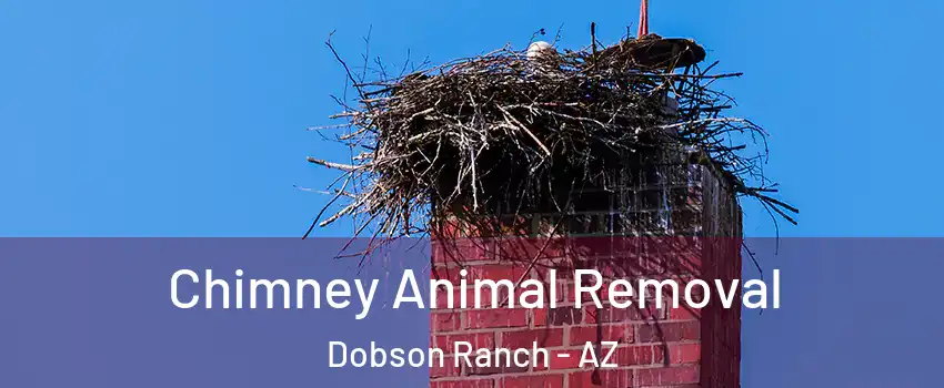 Chimney Animal Removal Dobson Ranch - AZ