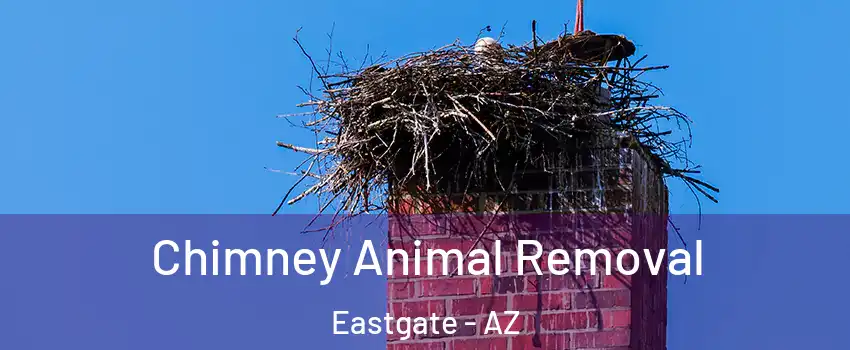 Chimney Animal Removal Eastgate - AZ