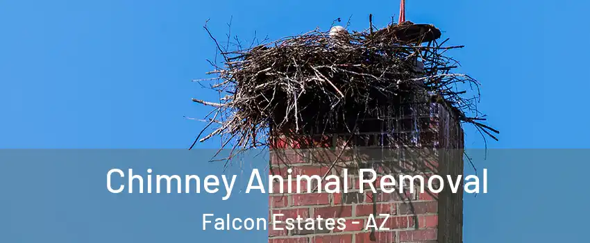 Chimney Animal Removal Falcon Estates - AZ