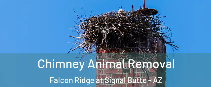 Chimney Animal Removal Falcon Ridge at Signal Butte - AZ