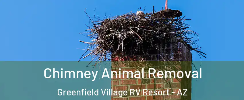 Chimney Animal Removal Greenfield Village RV Resort - AZ