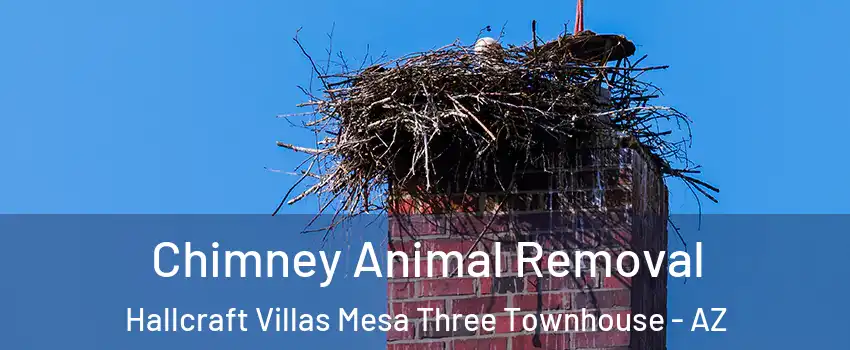Chimney Animal Removal Hallcraft Villas Mesa Three Townhouse - AZ
