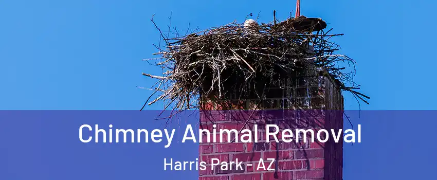 Chimney Animal Removal Harris Park - AZ