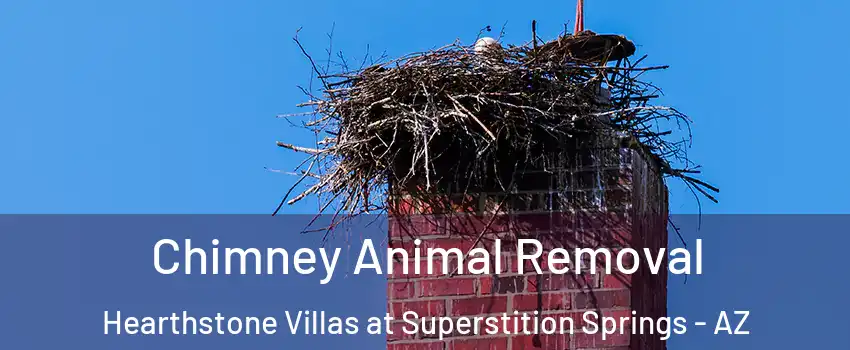 Chimney Animal Removal Hearthstone Villas at Superstition Springs - AZ