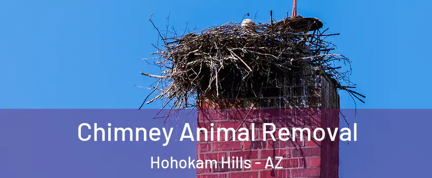 Chimney Animal Removal Hohokam Hills - AZ
