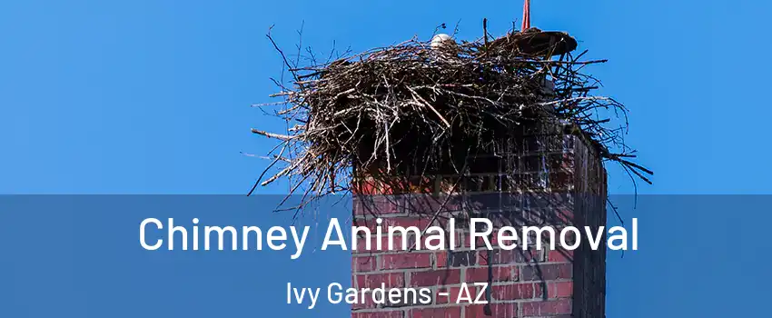 Chimney Animal Removal Ivy Gardens - AZ