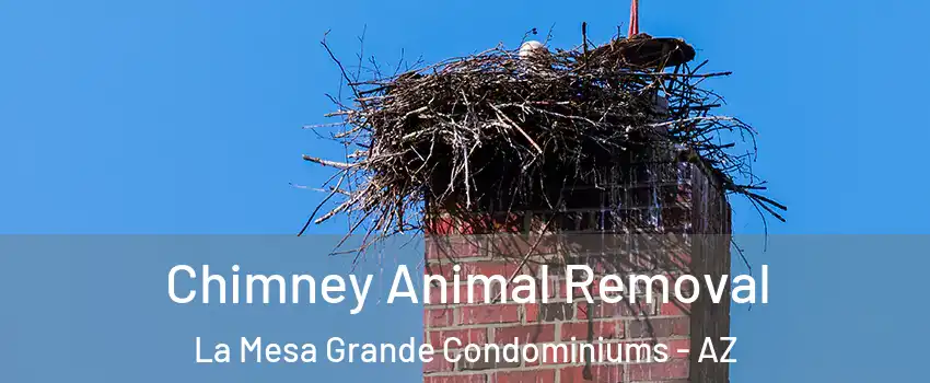 Chimney Animal Removal La Mesa Grande Condominiums - AZ