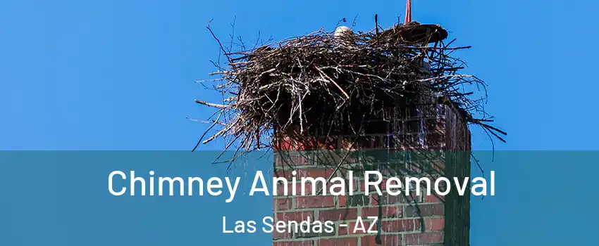 Chimney Animal Removal Las Sendas - AZ
