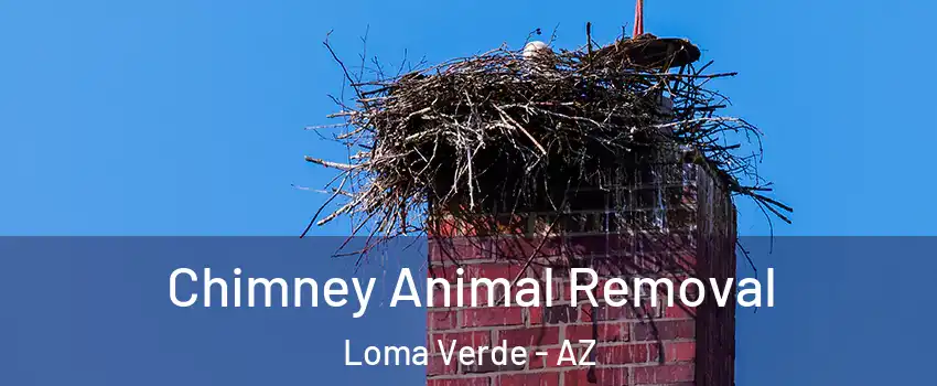 Chimney Animal Removal Loma Verde - AZ
