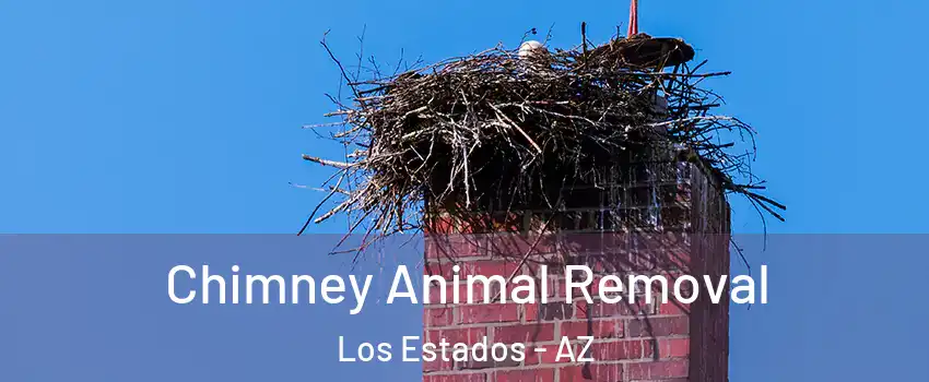 Chimney Animal Removal Los Estados - AZ
